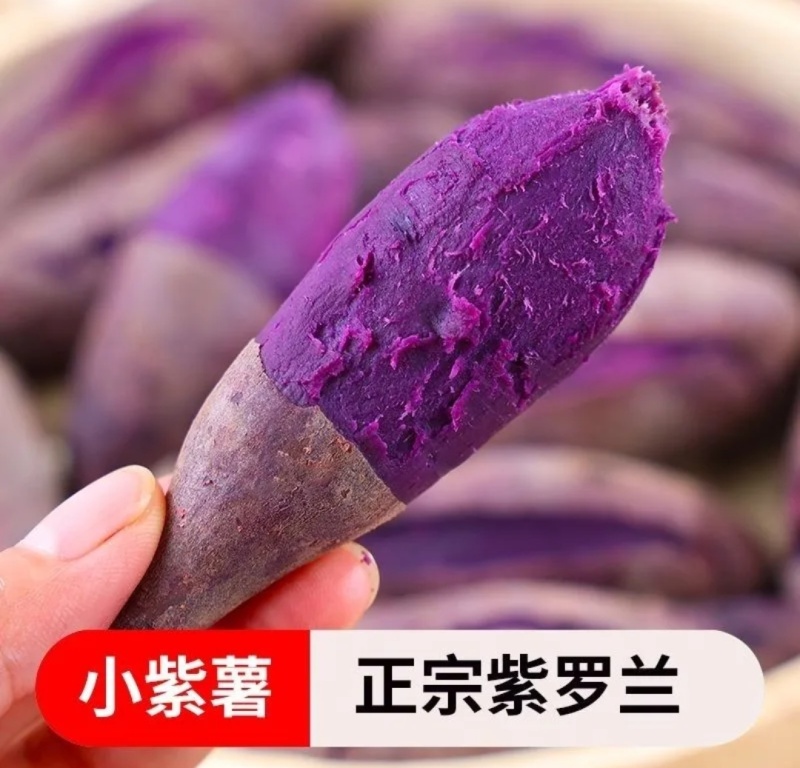 紫薯紫心电商地瓜红薯养殖红薯加工厂红薯
