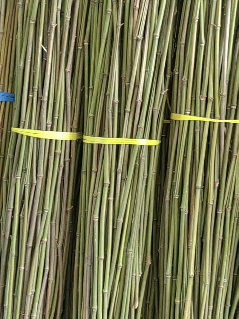 2.2米100根菜架竹山药火龙果专用竹竿