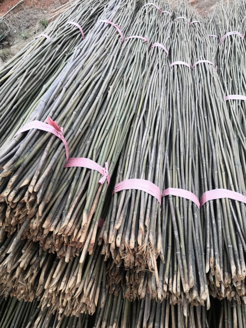 2.2米100根菜架竹山药火龙果专用竹竿