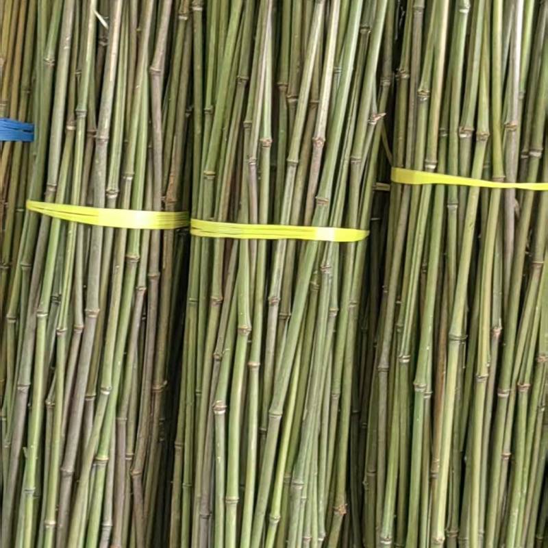 2.2米100根菜架竹山药火龙果专用竹竿
