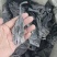 海带小包装散菜干海带湿海带盐渍海带海带结海带苗烘干全品类