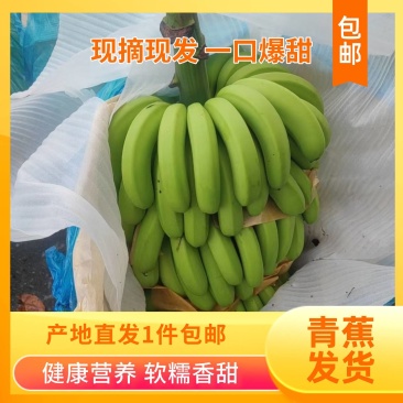 云南香蕉中货，中上货需要联系