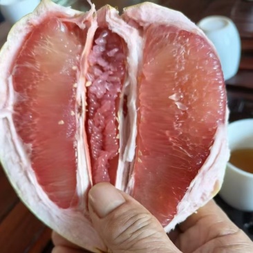 福建平和柚子