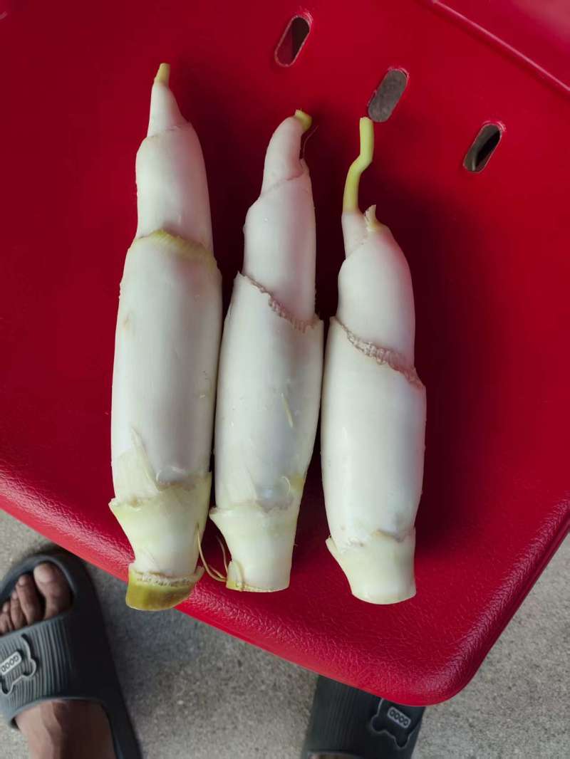 极，精，统，商，电，都有货