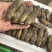 特大蛏子35个头左右海蛏双头蛏子