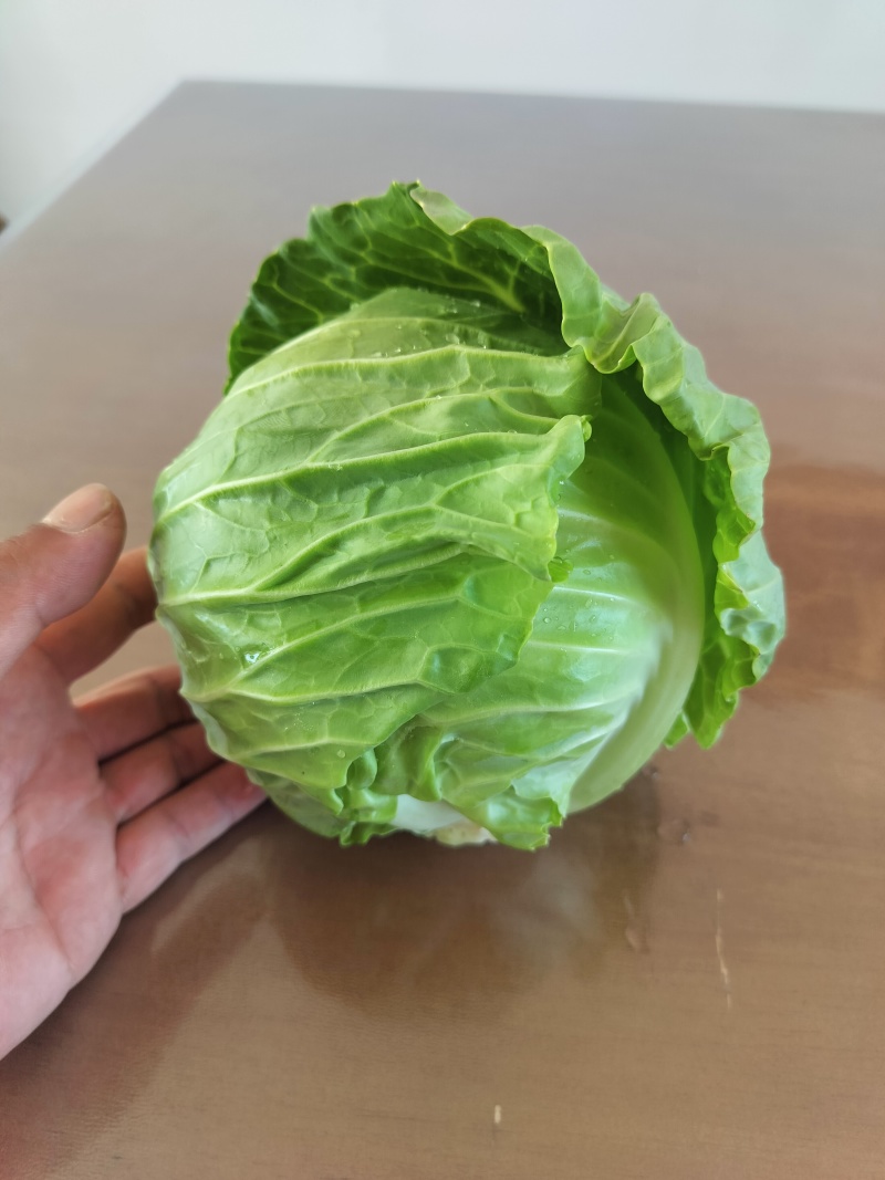 甘蓝