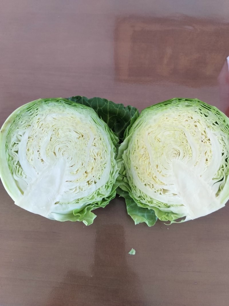 甘蓝