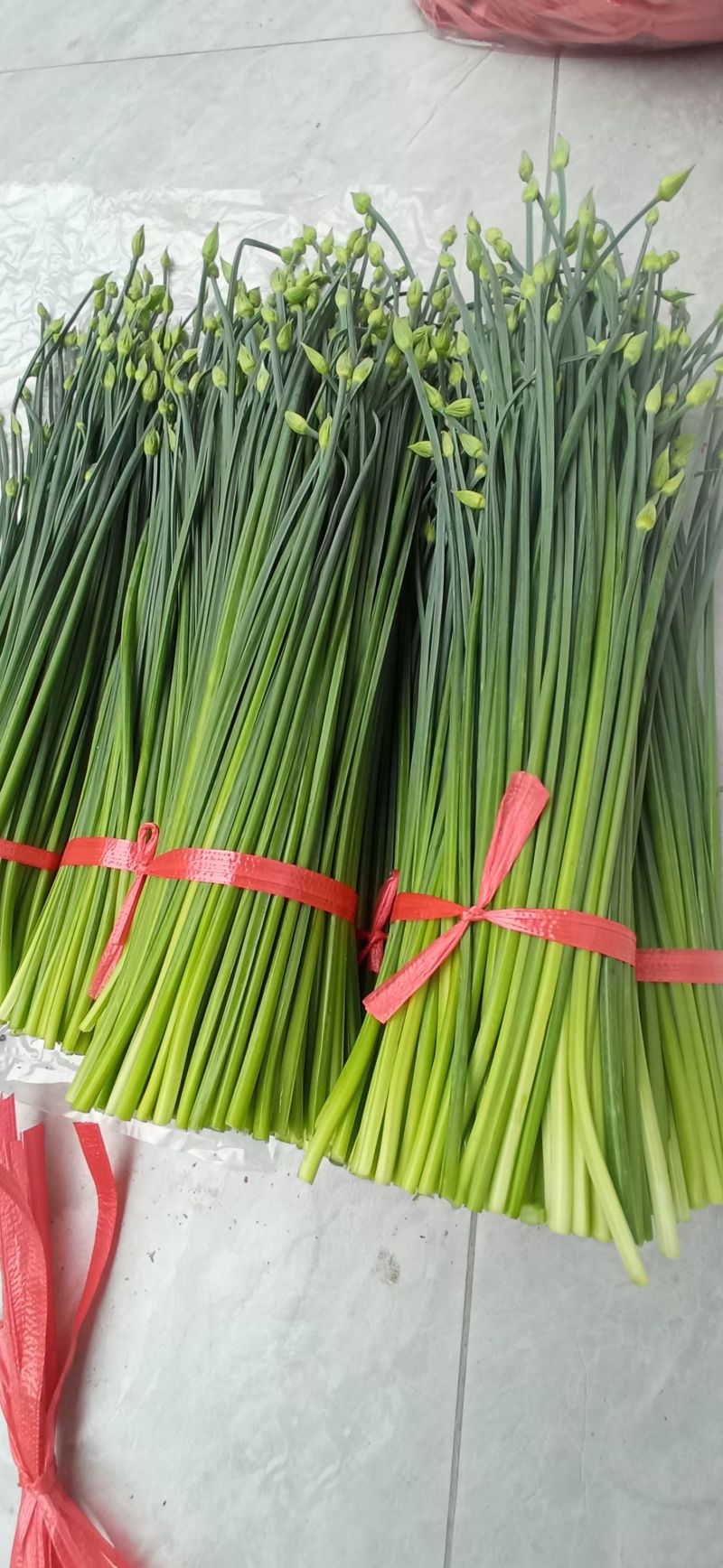 本地韭苔大量上市诚寻合作可打冷各种包装代收代发