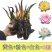 睡莲花池塘水缸大睡莲根块花卉水培四季开花根茎