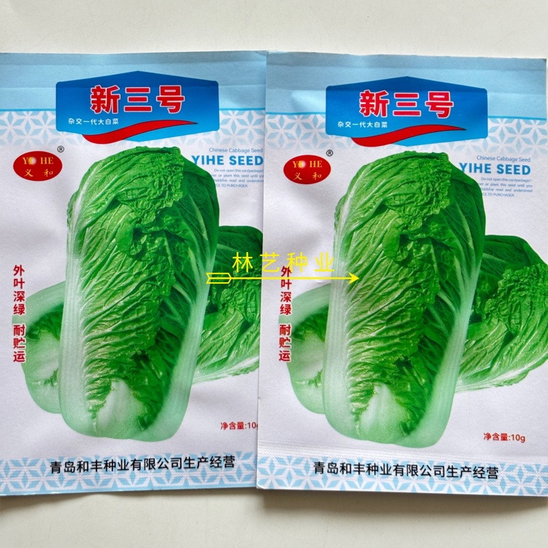 新三号大白菜种子优质高产抗病耐贮商品性佳农家春秋播