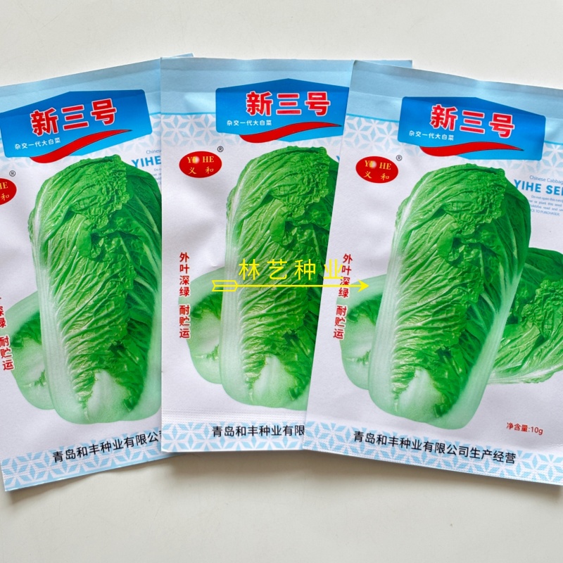 新三号大白菜种子优质高产抗病耐贮商品性佳农家春秋播