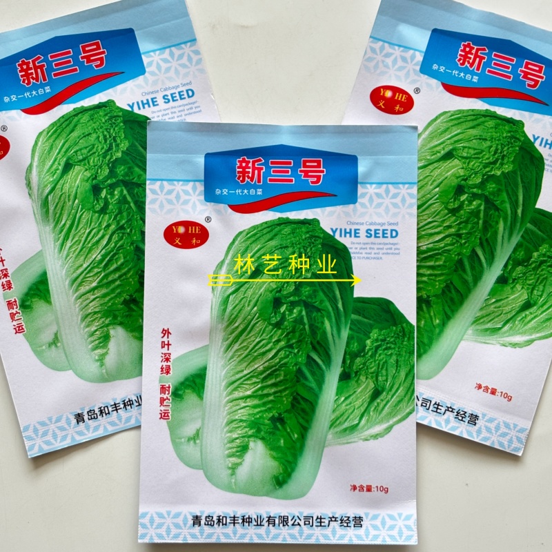 新三号大白菜种子优质高产抗病耐贮商品性佳农家春秋播