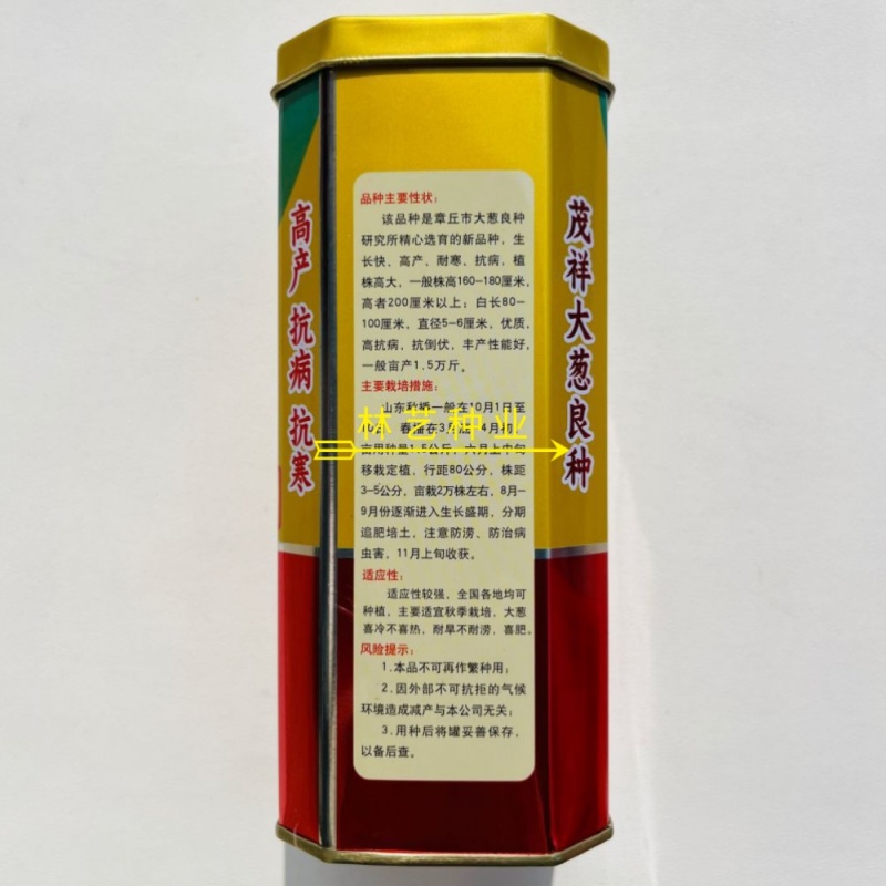金杆速生90白大葱种子铁杆大葱种子大葱葱白长耐寒高产