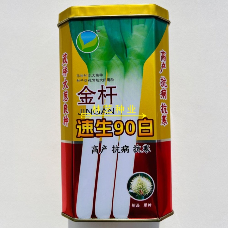 金杆速生90白大葱种子铁杆大葱种子大葱葱白长耐寒高产