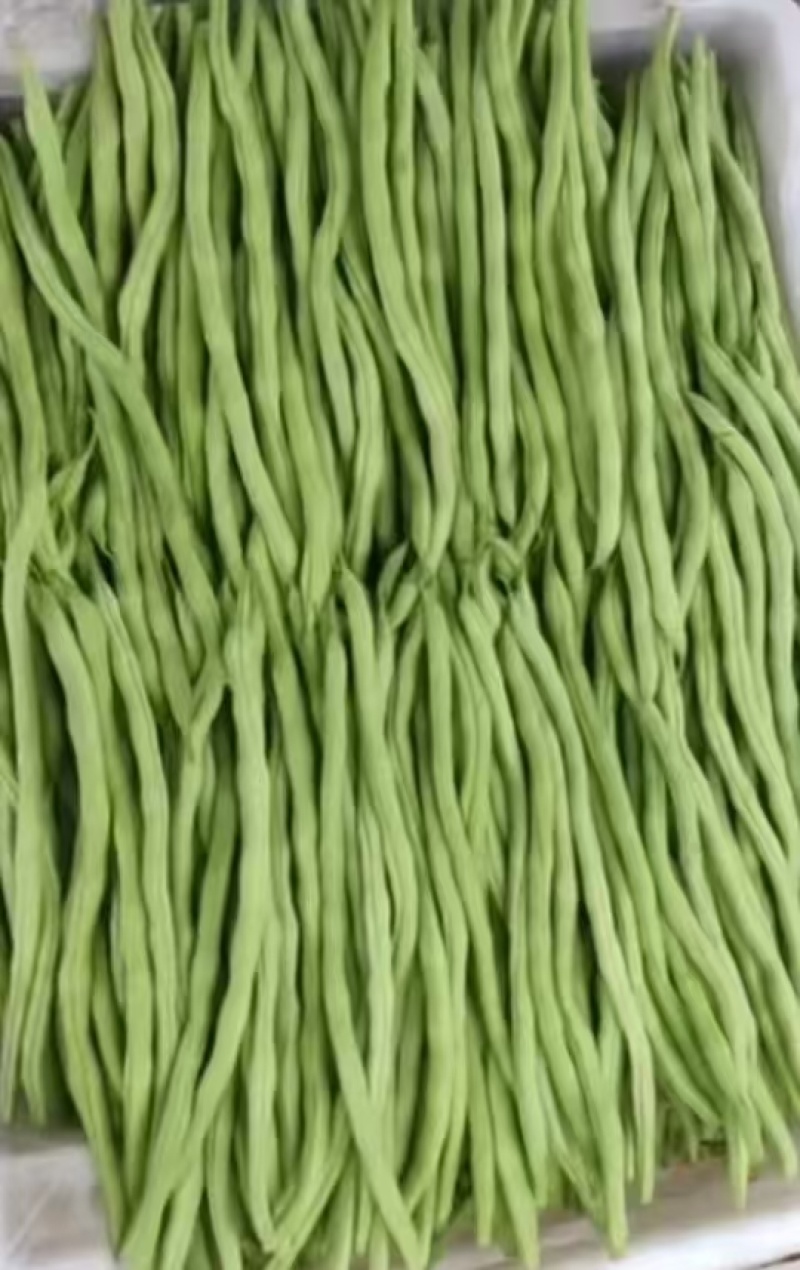 吕梁精品绿架豆王