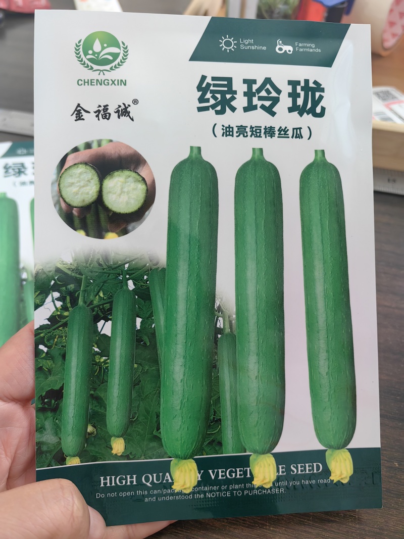 油皮短丝瓜苗中绿丝瓜苗，抗病毒能力强苗厂直发