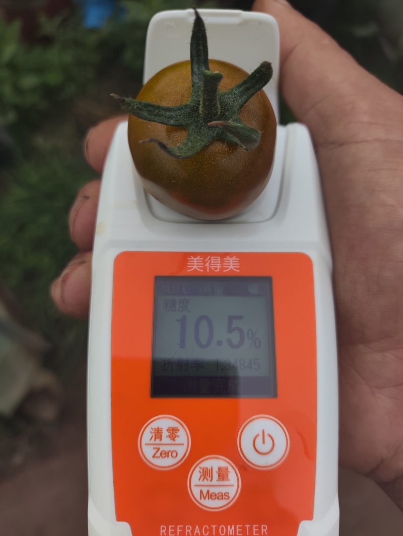 千禧迷恋唐伯虎