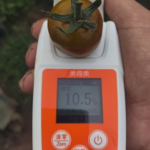 千禧迷恋唐伯虎