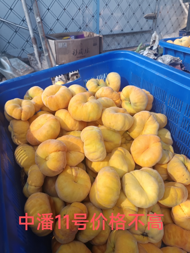 黄桃锦绣黄桃，潘桃，水蜜桃，口感脆甜，货架期长耐储运