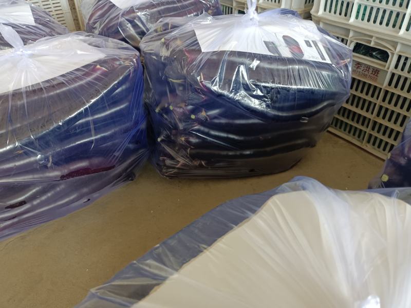 山东蔬菜产区沂南县绿萼烧烤茄子，精品，电商供应…
