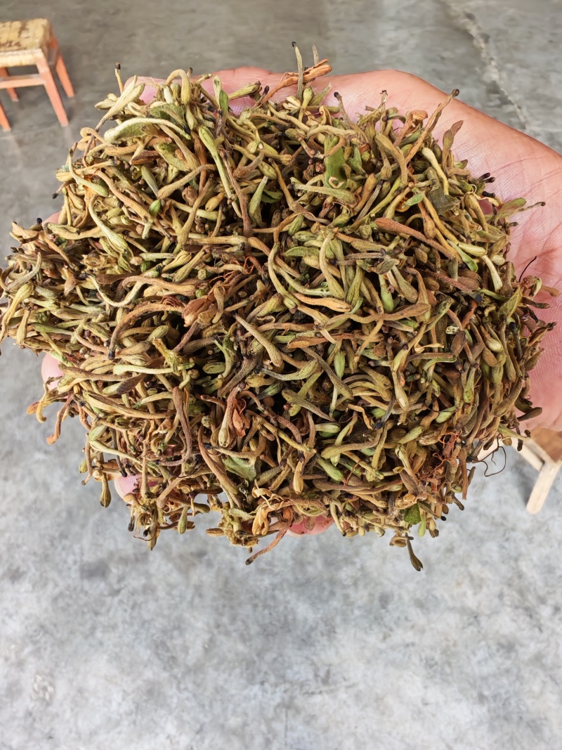 贵州金银花