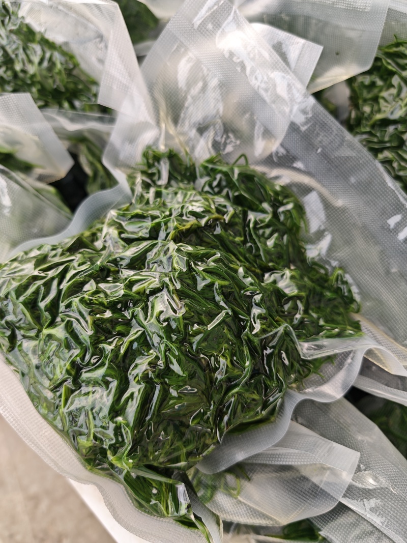 碱蓬菜黄须菜速冻加工