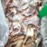 鸭边腿
