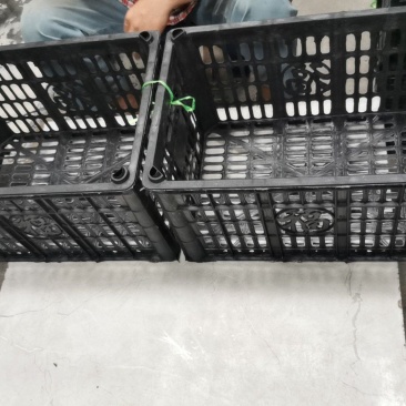 塑料筐，各种尺寸厂家生产企业，