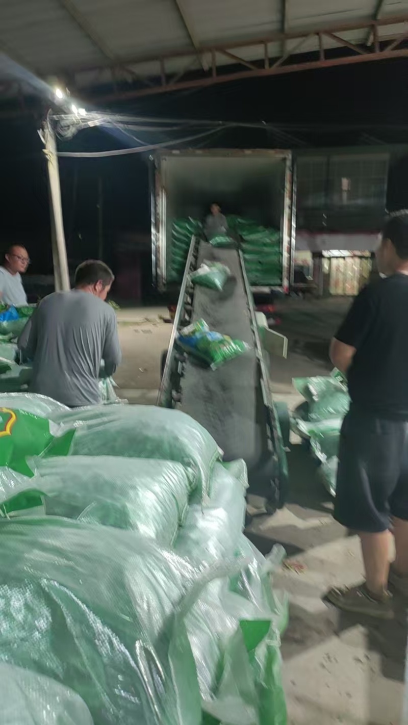 翠绿宝毛豆，基地货机洗色选精品袋装大吨位供应对接渠道，