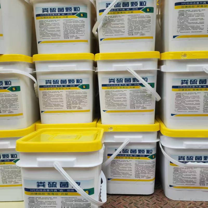 粪硫菌颗粒水产养殖净化水质去除硫化氢黑泥10公斤一桶