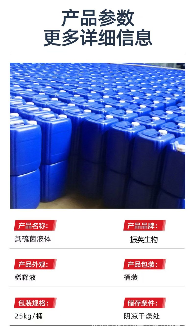 粪硫菌颗粒水产养殖净化水质去除硫化氢黑泥10公斤一桶