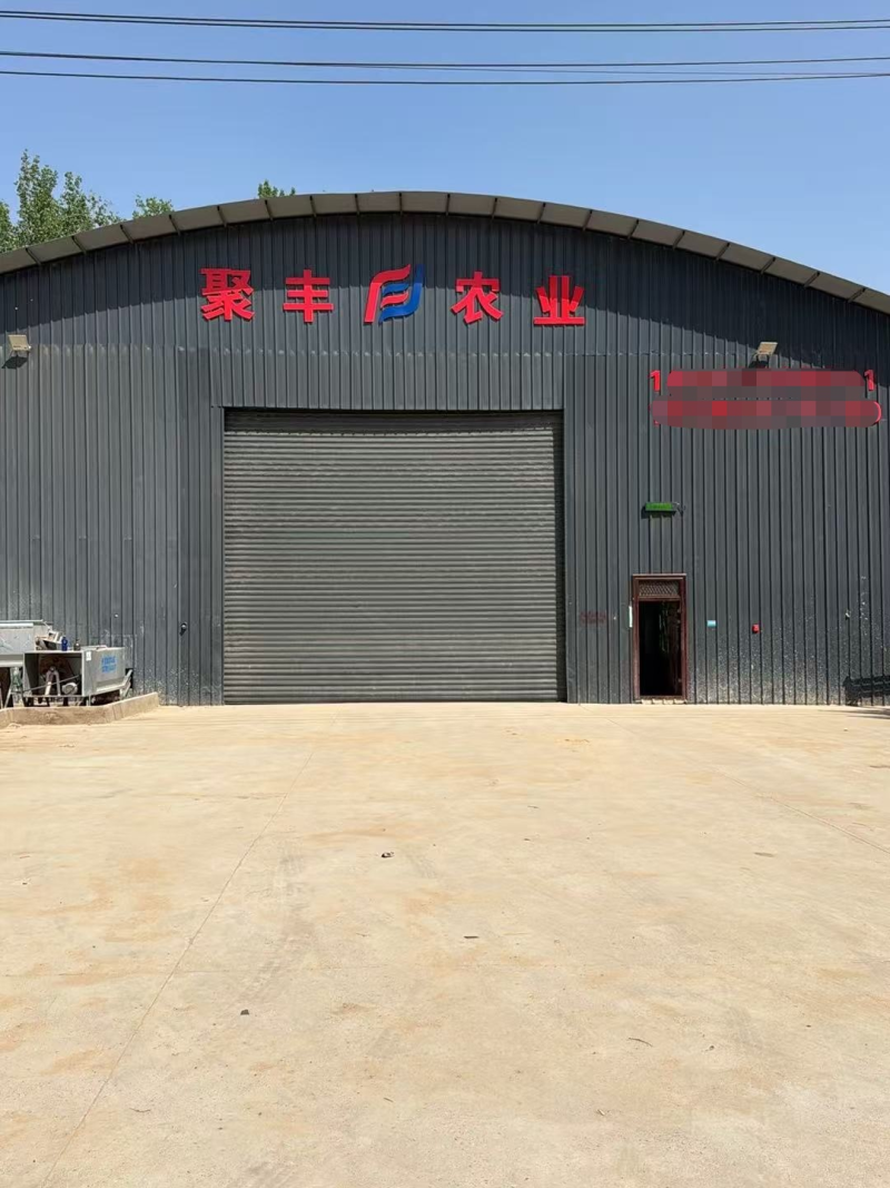 龙九大量上市，河南开封产地直发龙薯9号