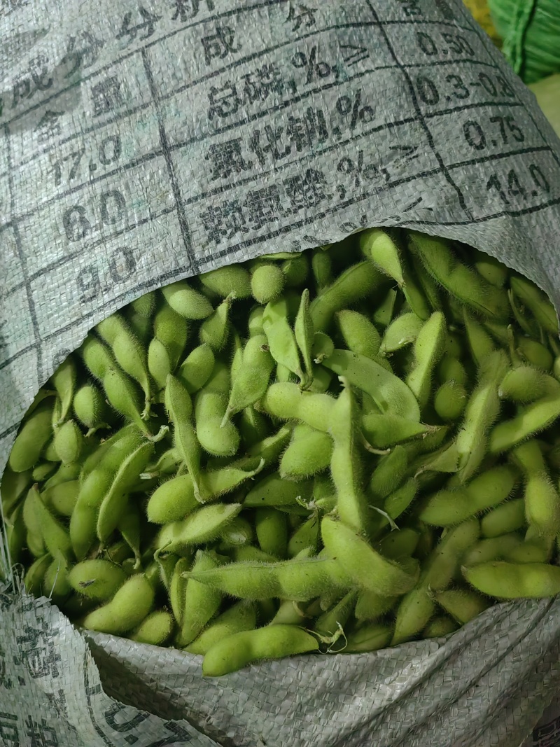 翠绿宝毛豆，基地货机洗色选精品袋装大吨位供应对接渠道，