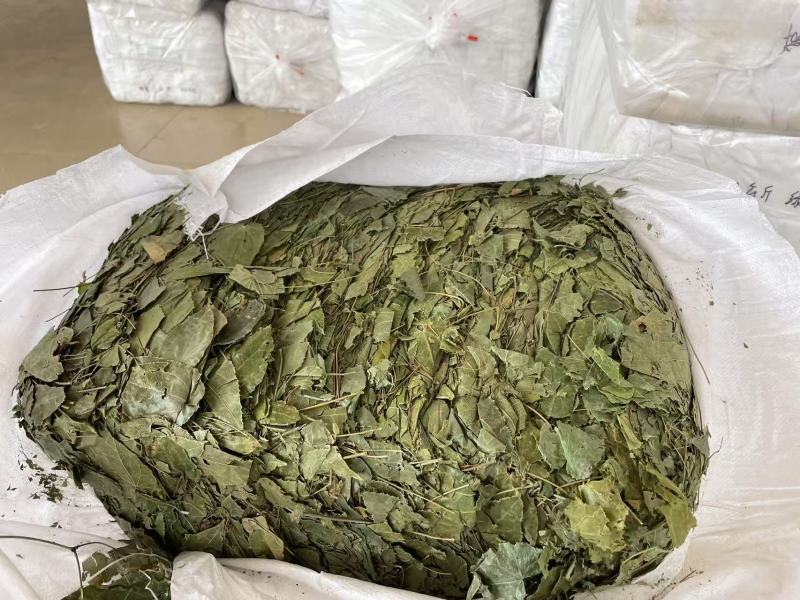 中药材箭叶淫羊藿厂家直发品质保证欢迎进店选购