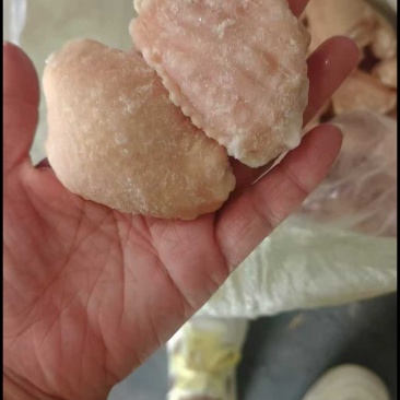 调理翅中厂家发货资质齐全价格优惠
