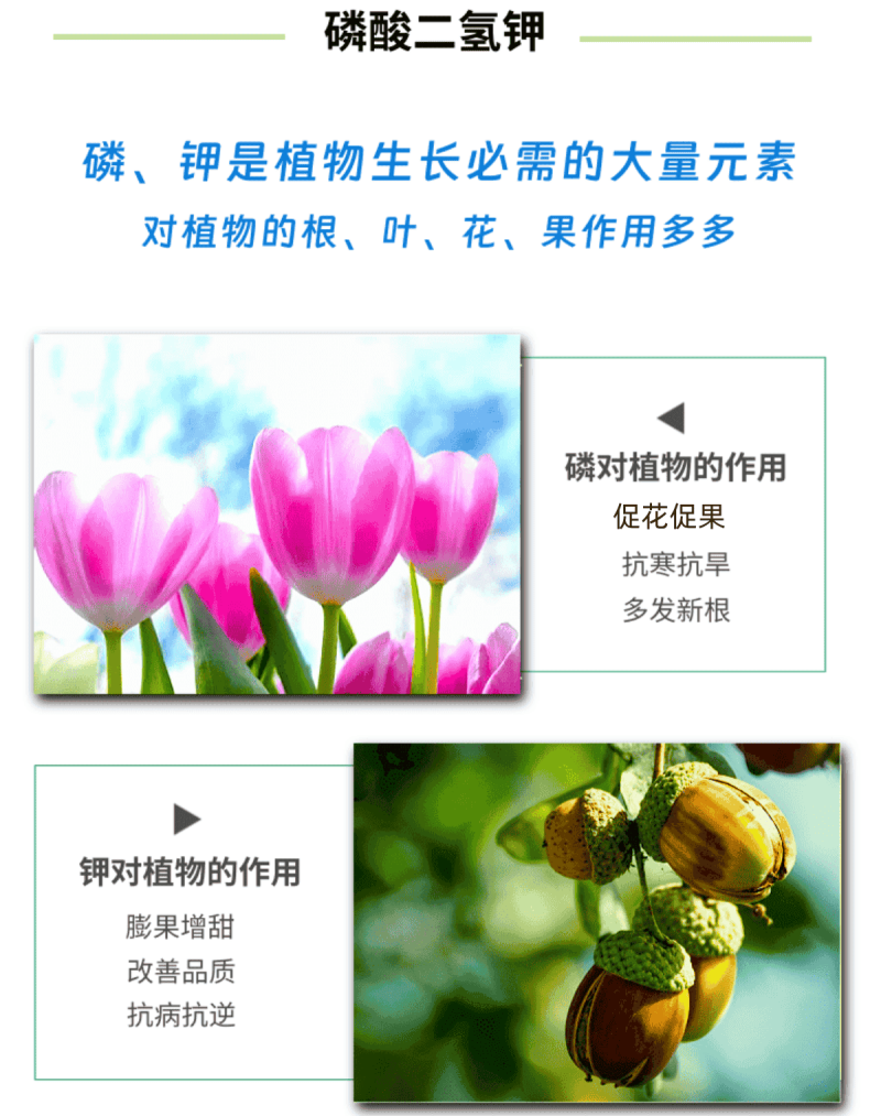 50斤膨化磷酸二氢钾飞防促花果膨果上色果树通用叶面肥喷雾