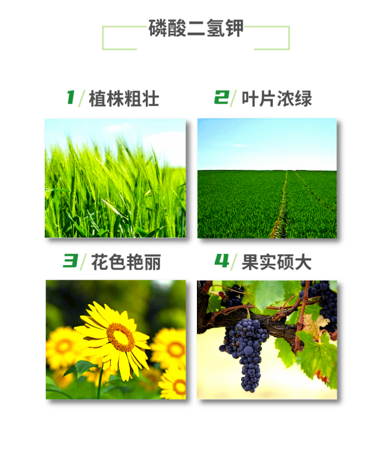 50斤膨化磷酸二氢钾飞防促花果膨果上色果树通用叶面肥喷雾