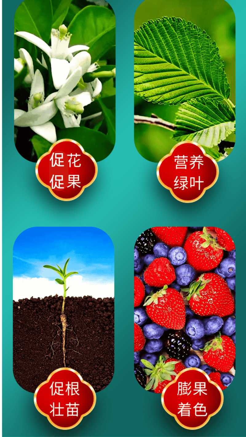 50斤膨化磷酸二氢钾飞防促花果膨果上色果树通用叶面肥喷雾