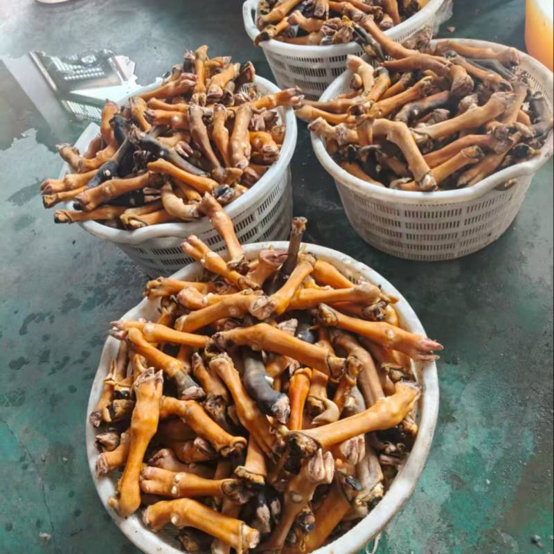 火烧羊蹄大量有货品质保障产地直销全国通发