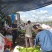 湛江香蕉种植基地，百亩货源稳定供货，可以选择挑选欢迎来问