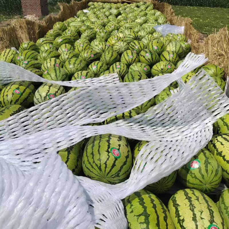 内蒙古沙地西瓜大量接单价格美丽量大从优欢迎来电