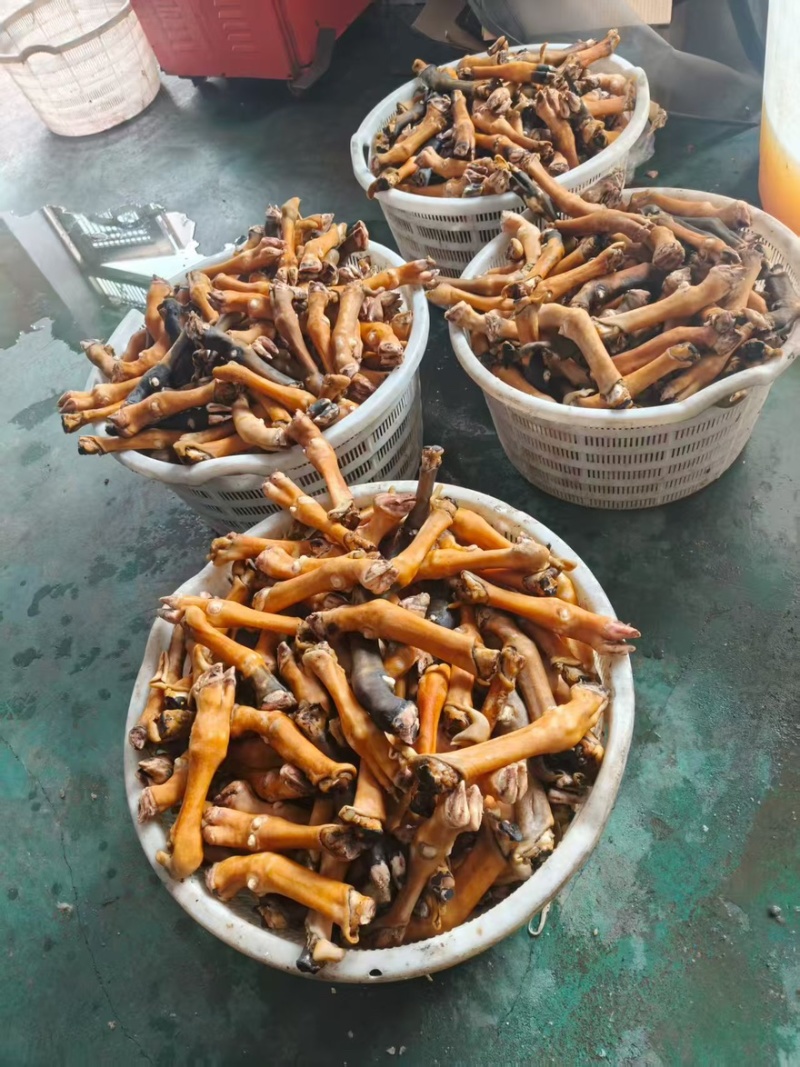 火烧羊蹄大量有货品质保障产地直销全国通发
