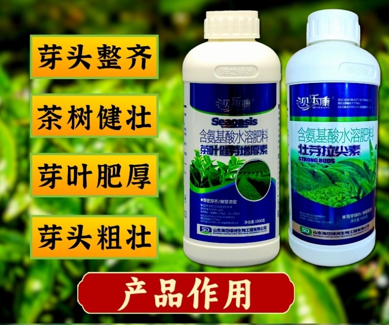 茶叶壮芽拉尖素芽茶园专用肥尖芽多芽粗壮提质增产1000克