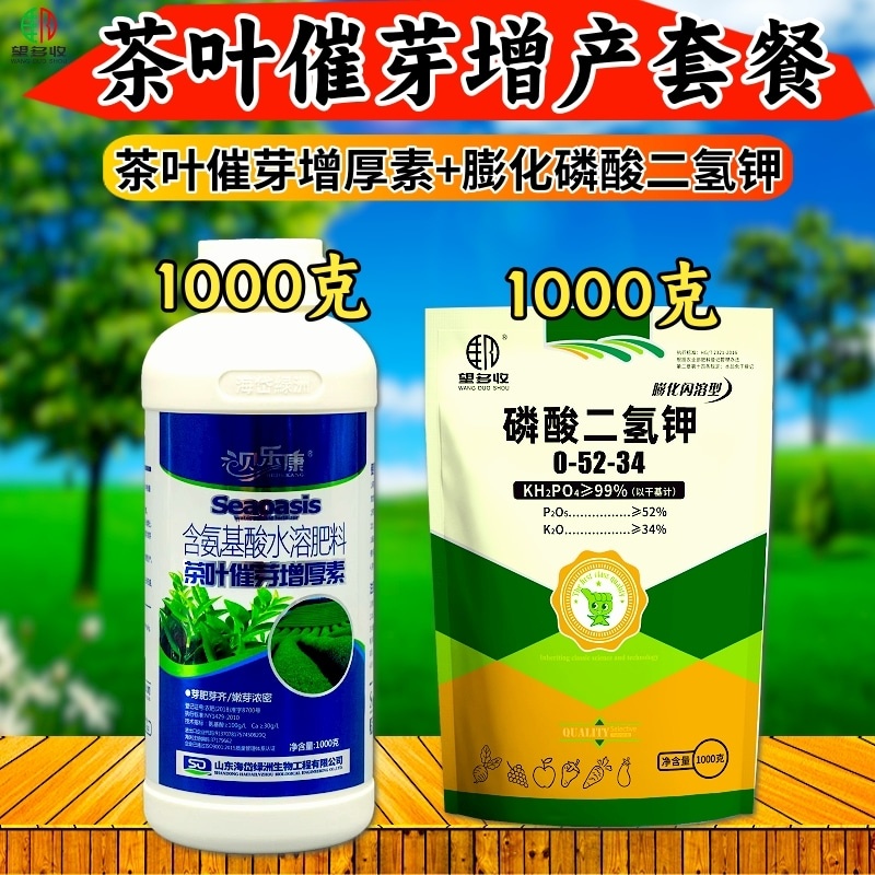 茶叶催芽增厚素茶叶专用催芽生芽早发芽芽肥芽齐提质增产
