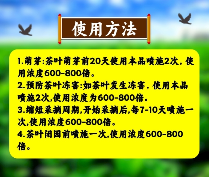 茶叶催芽增厚素茶叶专用催芽生芽早发芽芽肥芽齐提质增产