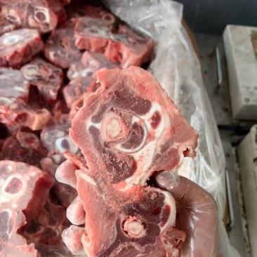 乳牛蝎子含肉量很高，吨起优惠