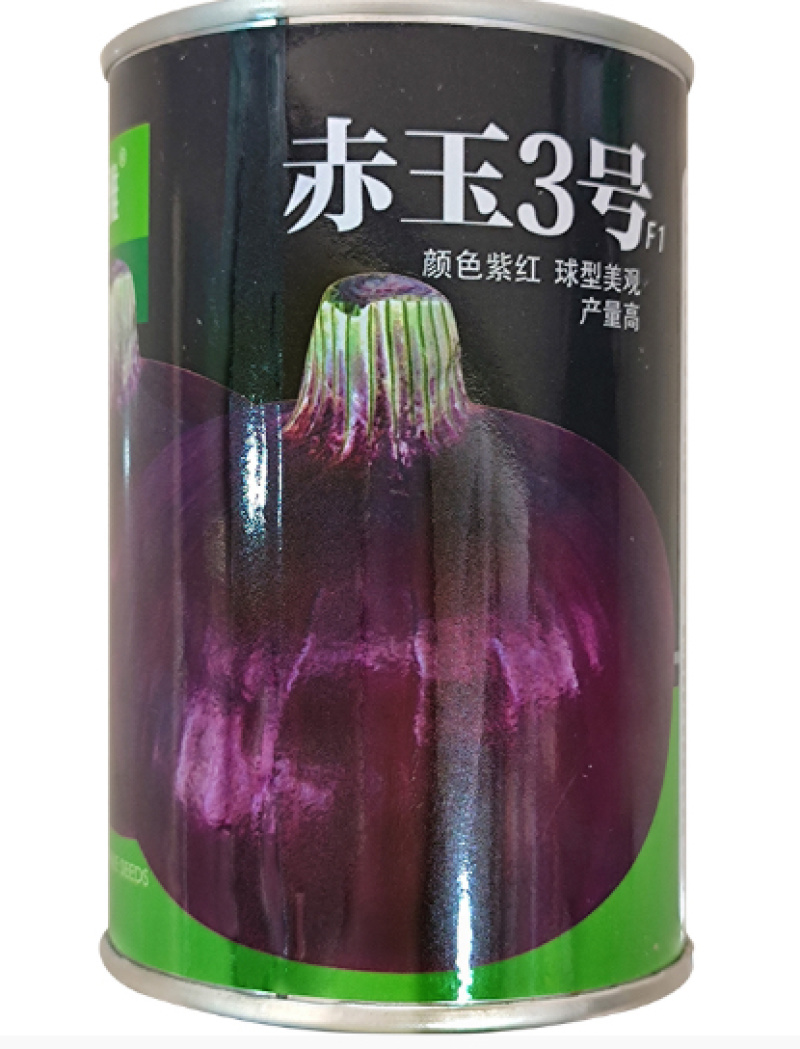 济宁金乡洋葱种子培育基地产地直供全国发货量大从优