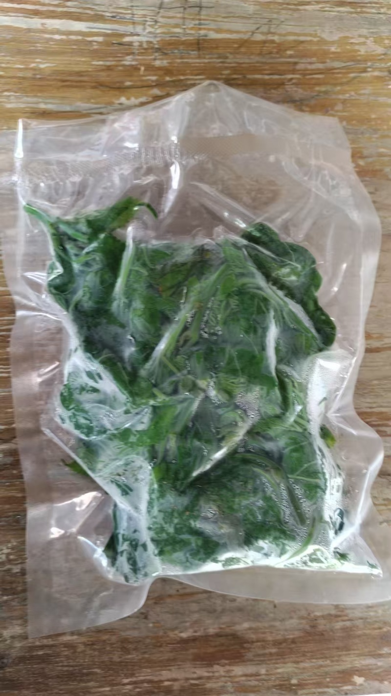 桑芽菜