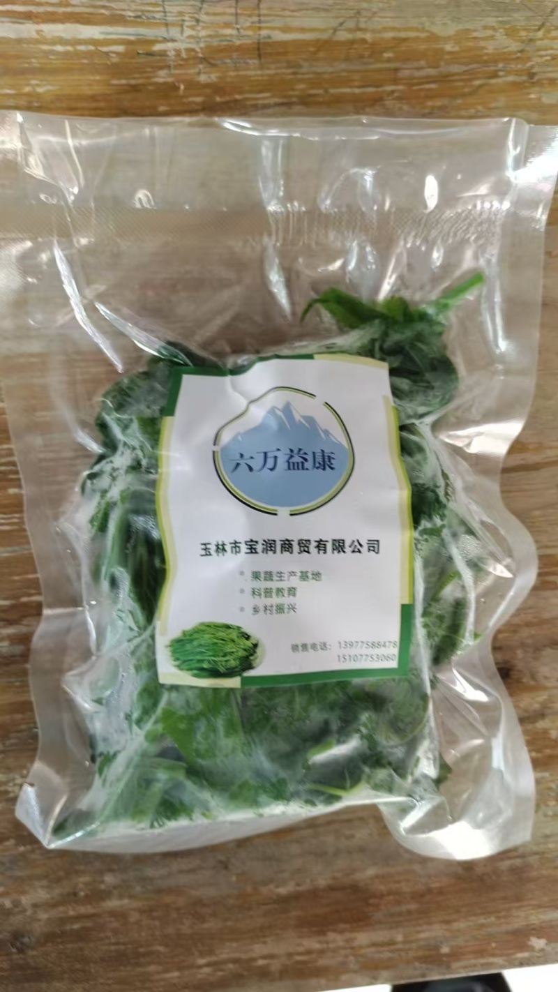 桑芽菜