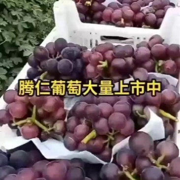 乒乓球葡萄